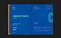brand identity design 互联网 宣传册 平面设计 期刊 版式设计 画册 科技感 编排设计