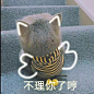 猫咪表情包