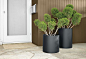 Steel Round Planters - Planters - Accessories - Room & Board: 