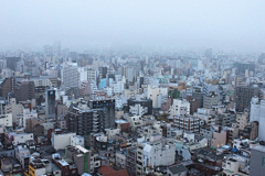 咯叽柯基采集到城市建筑