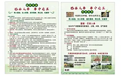 人参宣传单  - 源文件下载【酷图网】人参,人参挂画,人参文化,人参中药,人参海报,人参广告,野生人参,山参,野生山参,长白山人参,土人参,人参画册,正宗人参,野山参,中药人参,野人参,人参花,