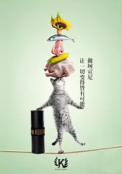 《投以木瓜》视觉设计工作室。
微信号：iMOMOi1118。
约设计请联系上面微信。
#设计，排版设计，广告海报，海报宣传,品牌设计，品牌形象设计，网站设计，微商品牌设计，手绘漫画插画定制设计，微商团队合作，产品摄影，商务摄影