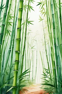 挺拔苍翠中国风竹子竹林自然风景插画