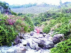 驴友结伴爬云顶山 一女子摔伤昏迷