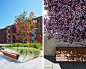 Barangaroo - International Tower Sydney (Tower Two) : Bringing a sense of green into the workplace