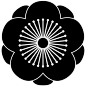 八重向こう梅 : Plum Blossom