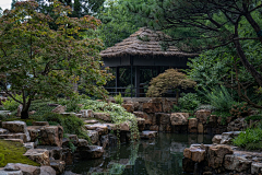 小季吃芒果采集到花园景观-水池
