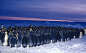 冻死了，聚过来暖暖吧在南极洲零下40度的环境里，帝企鹅拥在一起取暖。
