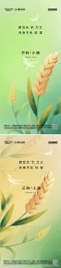 芒种小满节气海报-素材库-sucai1.cn