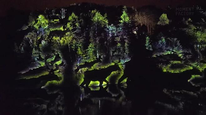 Lumina 景区夜游-森林动物投影效果