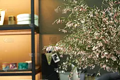 一家花店橱窗里的玻璃花瓶里放着一束漂亮的淡粉色金丝桃花