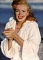 Marilyn Monroe 玛丽莲梦露