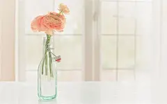 小清新文艺风景静物高清桌面壁纸