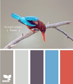 WilliamDesign采集到Color
