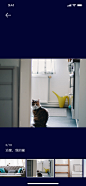 28_As Tenant_Photo_Detail
