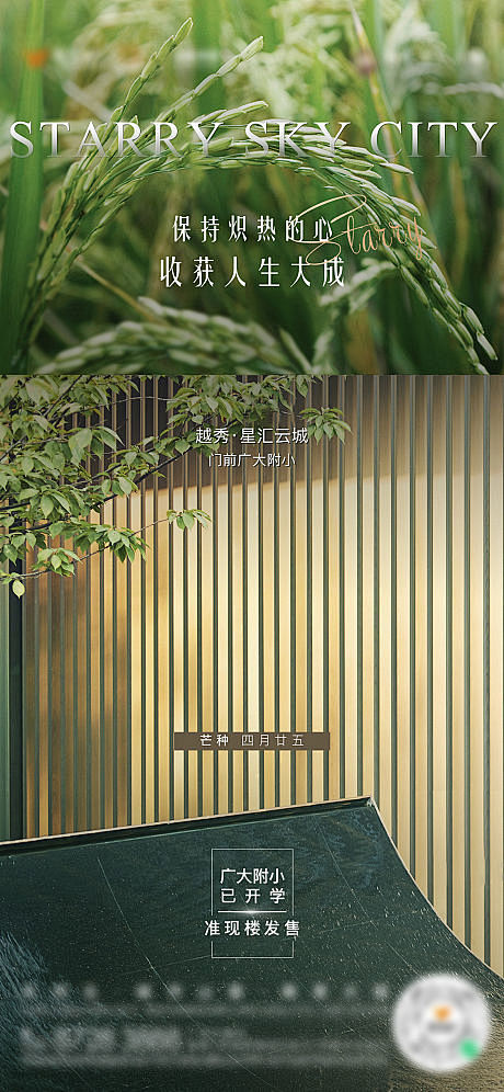 芒种