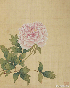 邹承海采集到工笔画