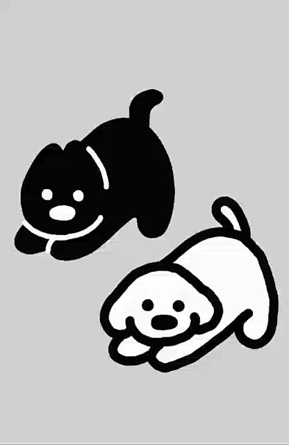 小红书 - 你的生活指南