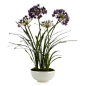 Faux Potted Agapanthus