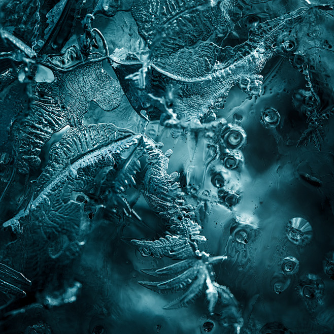 Behance 上的 F R E R I...