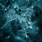Behance 上的 F R E R I (5)