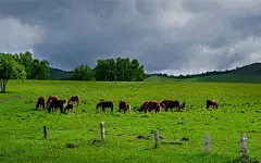 内蒙古乌兰布统草原风光桌面壁纸 1920x1200