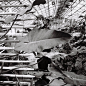 jilsander_98237960_994793127582144_5251600160329487222_n