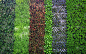 绿色植物背景/图案墙植物纹理背景