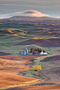Palouse, Washington. No more beautiful place in the world than the rolling hills of the Palouse.