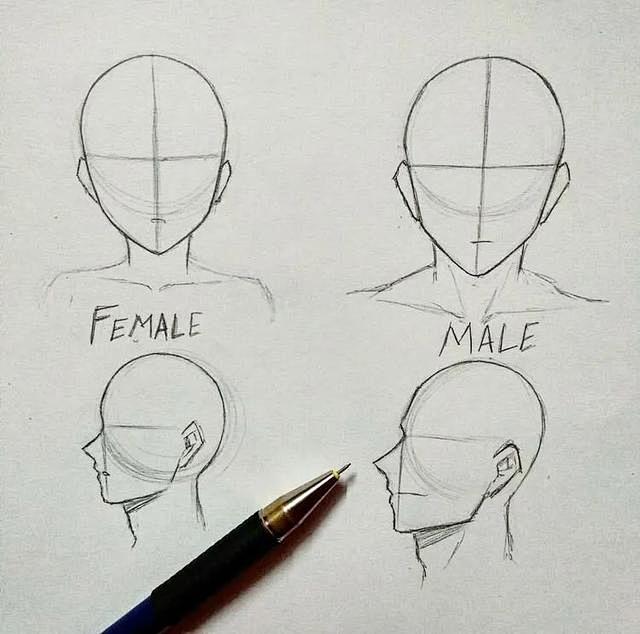 人头像透视的几种画法，再也不用担心不会画...