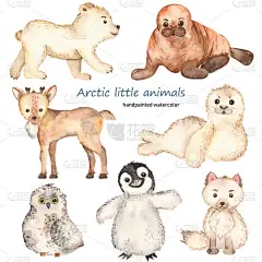 北极可爱的小动物水彩画。 北冰洋狐狸北极熊海象驯鹿海豹猫头鹰企鹅