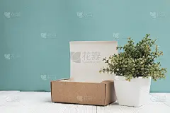 空包装棕色纸盒或托盘和小装饰树在白色花瓶上明亮的白色木桌与绿色的墙壁背景。本空间