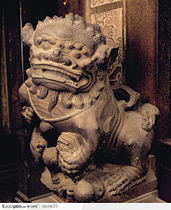 CEIGNCCv采集到江南