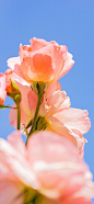 566877069bc05f2f0a1d6fedbac601bee3f2af5847a27-L2rLrG_fw1200