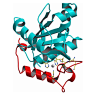 五步蛇毒的晶体结构-金属蛋白酶