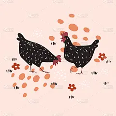 草地,图像,鸡,两只动物,可爱的,家庭,环境,模板,动物,鸟类