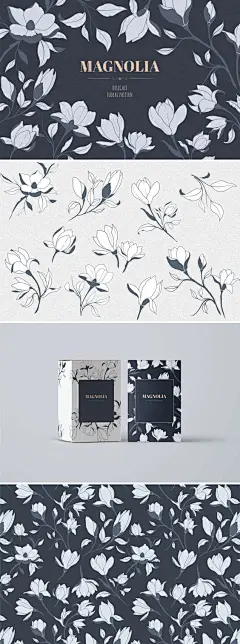 设计资源。 手绘玉兰花。 传染媒介例证。 包装设计