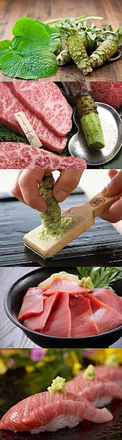 这就是日人吃生鱼片或握寿司时蘸的东西——山葵。山葵被西方人称為 Japanese Horseradish (日本辣根)或 Japanese Mustard (日本芥末)， 其根部外观呈绿色长柱状，表面粗糙，食用时放置于磨泥器上，作顺时针方向画圆弧磨成粗颗粒状的山葵泥， 搭配生鱼片