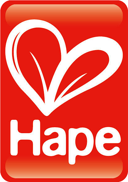 【Hape中国官网】(宁波怡人玩具有限...
