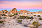 约书亚树国家公园（Joshua Tree National Park），这个公园以沙漠巨石阵和奇特热带植物著称