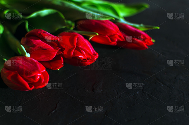 暗色,郁金香,背景,红色,母亲节,文字,...