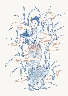 包装插画｜［傣族古法手工红糖］ - 小红书