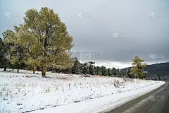 联邦高速公路M-52丘伊斯基路段，铺着柏油的公路，在覆盖着积雪的秋树间。
