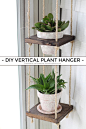 DIY Vertical Plant Hanger on iheartnaptime.com: 