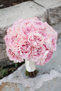 Carnation bouquet...makes a simple carnation look amazing