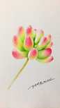 彩铅画图片大全花草的搜索结果_百度图片搜索