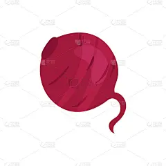 蔬菜蔬菜英文字母字母制成的甜菜根矢量插图上的白色背景