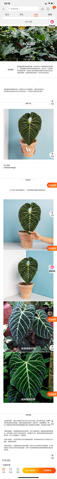 阿狗无语采集到绿植