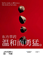 【品牌手册】东边野兽| 本土可持续美容与生活