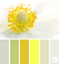 Design Seeds Color Palettes.